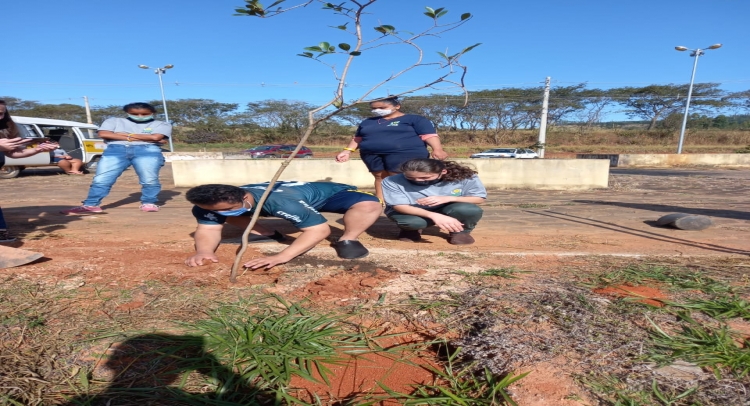 PREFEITURA DE TAPIRATIBA E APAE REALIZAM PLANTIO DE MUDAS DE ÁRVORES