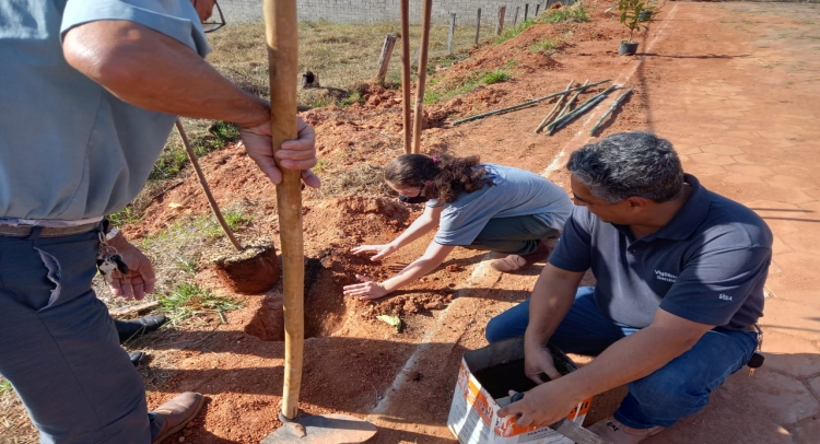 PREFEITURA DE TAPIRATIBA E APAE REALIZAM PLANTIO DE MUDAS DE ÁRVORES