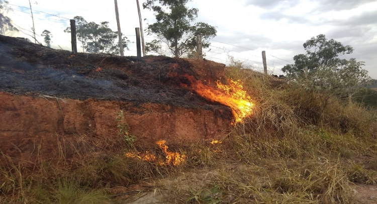 INCÊNDIO NO BAIRRO JARDIM SANTA CLARA É CONTIDO COM UNIÃO DE FORÇAS