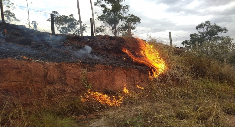 INCÊNDIO NO BAIRRO JARDIM SANTA CLARA É CONTIDO COM UNIÃO DE FORÇAS