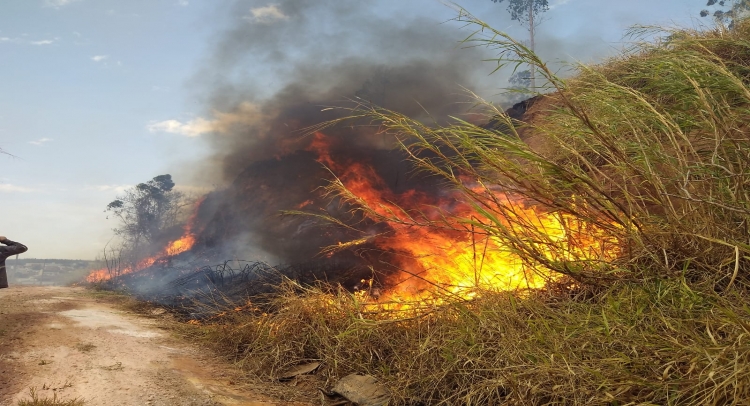 INCÊNDIO NO BAIRRO JARDIM SANTA CLARA É CONTIDO COM UNIÃO DE FORÇAS