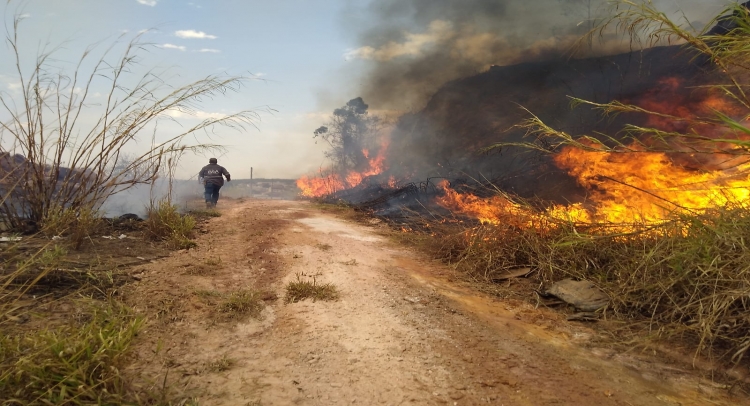 INCÊNDIO NO BAIRRO JARDIM SANTA CLARA É CONTIDO COM UNIÃO DE FORÇAS