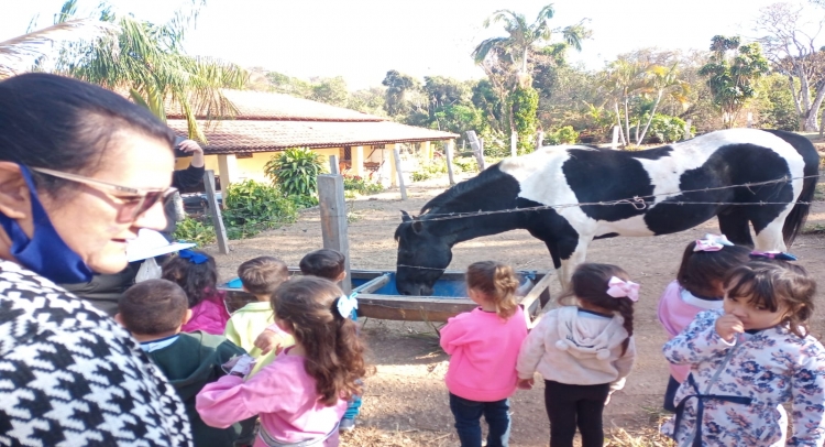 PROGRAMA “A UNIÃO FAZ A VIDA” LEVA ALUNOS DA ESCOLA MARIA LÚCIA TRIPOLONI PARA CONHECER SÍTIO.