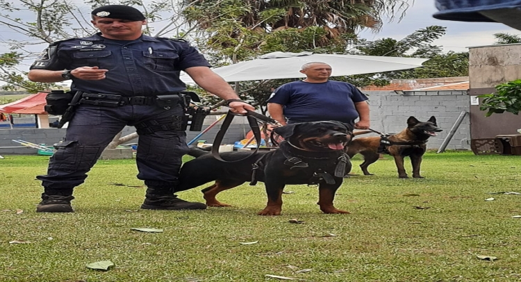 GUARDA CIVIL MUNICIPAL PARTICIPA DE CURSO DE GUARDA E PROTEÇÃO EM HORTOLÂNDIA