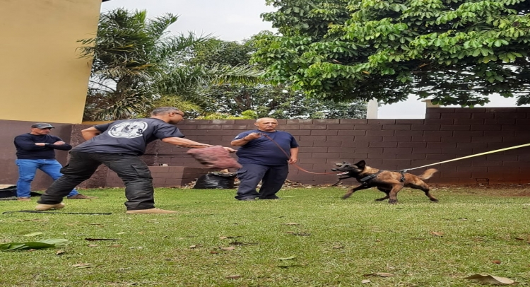 GUARDA CIVIL MUNICIPAL PARTICIPA DE CURSO DE GUARDA E PROTEÇÃO EM HORTOLÂNDIA