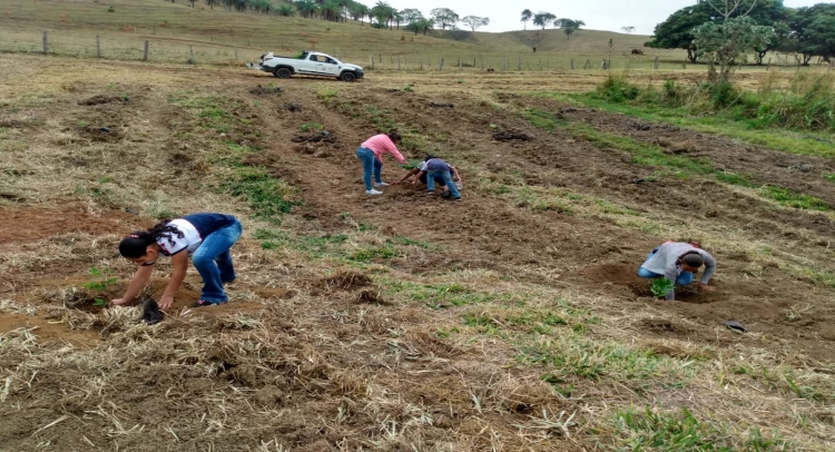 PREFEITURA DE TAPIRATIBA REALIZA PLANTIO DE ÁRVORES