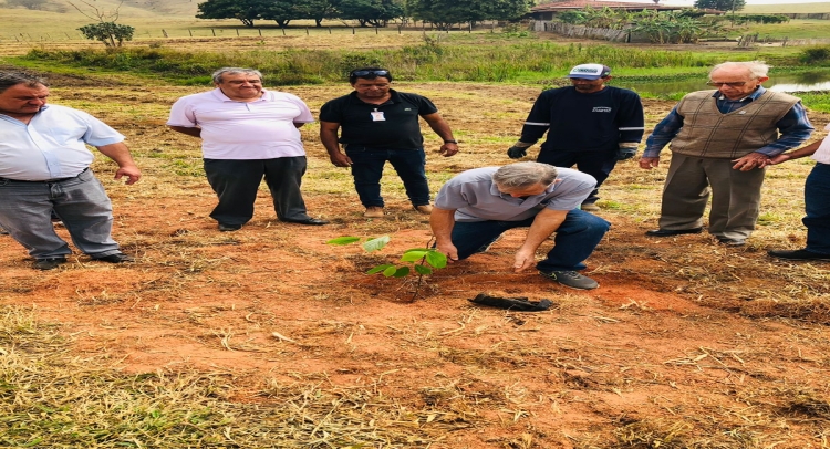 PREFEITURA DE TAPIRATIBA REALIZA PLANTIO DE ÁRVORES