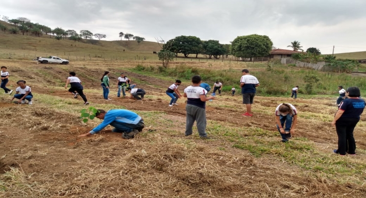 PREFEITURA DE TAPIRATIBA REALIZA PLANTIO DE ÁRVORES