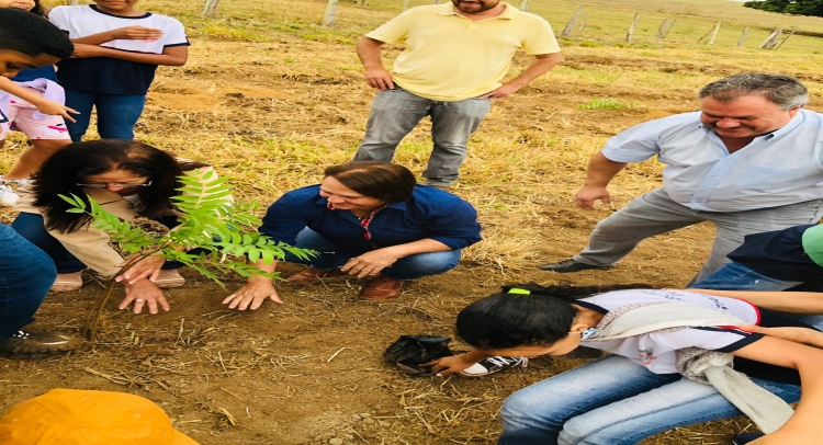 PREFEITURA DE TAPIRATIBA REALIZA PLANTIO DE ÁRVORES