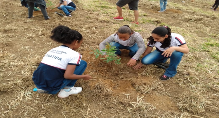 PREFEITURA DE TAPIRATIBA REALIZA PLANTIO DE ÁRVORES