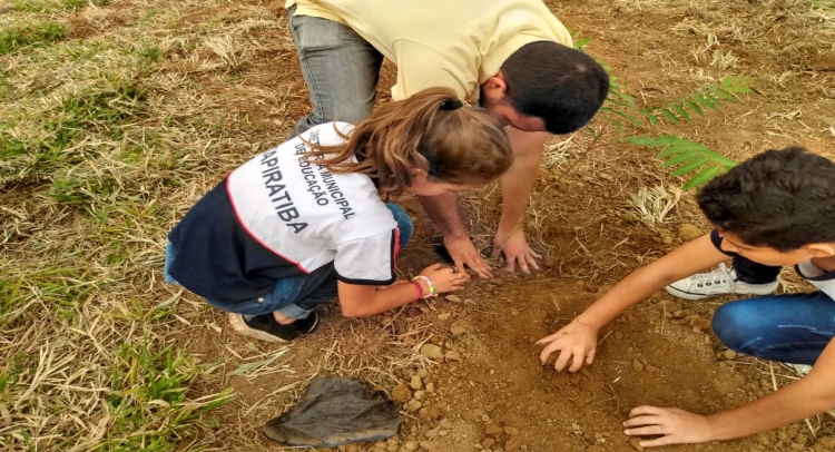 PREFEITURA DE TAPIRATIBA REALIZA PLANTIO DE ÁRVORES