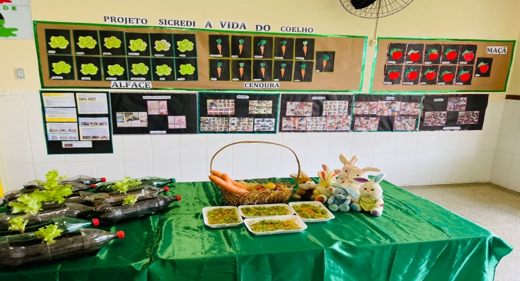 CULMINÂNCIA DO PROGRAMA “A UNIÃO FAZ A VIDA” – CRECHE ESCOLA MUNICIPAL PROFESSOR JOSÉ ANTÔNIO VILLA